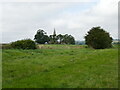 Grass field and the Chellington Centre