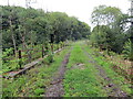 Hen bont reilffordd / Disused railway bridge