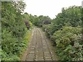 Railway tracks south of Stratford-upon-Avon station