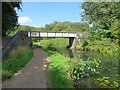 SK0000 : Walsall Junction Canal, Birchills Junction Bridge by Chris Allen