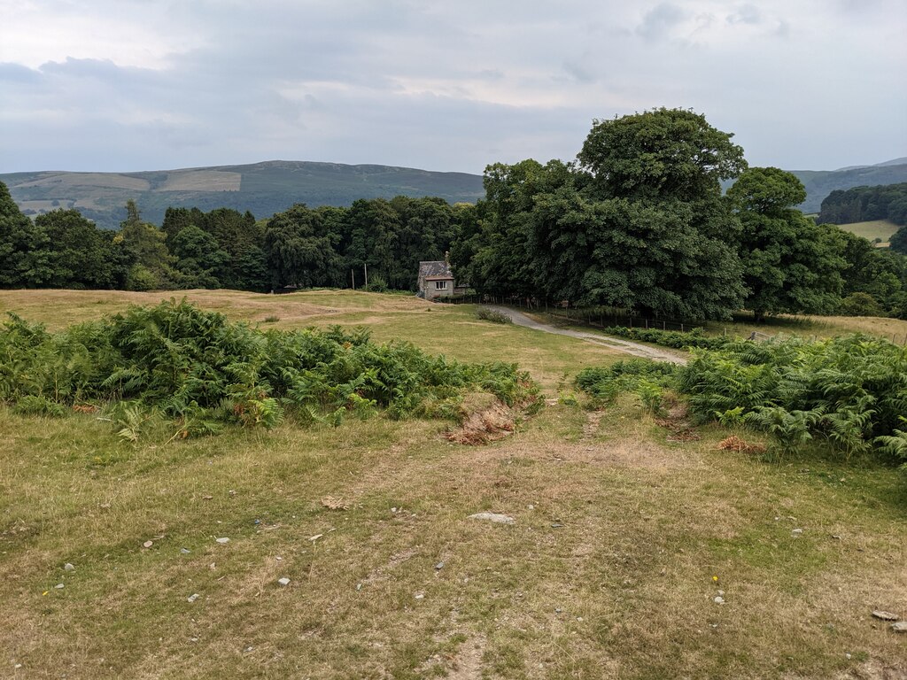 grassland-near-the-narrow-house-david-medcalf-geograph-britain-and