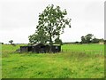 Tumbledown barns off Burnt Houses Lane