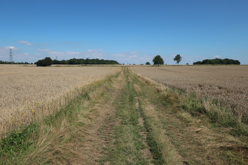 Bridleway between wheat fields © Hugh Venables :: Geograph Britain and ...