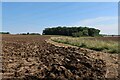 Ploughed fields near Beauchamp