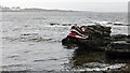 Crocodile Rock, Millport