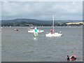 SX9981 : Learning watersports off The Point, Exmouth by David Smith