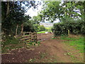 Llwybr i Lanharan   / Path to Llanharan