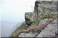 Rocks at Ravenshall Point