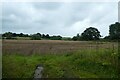 Field north of Poole Hill Road