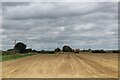 Field off Sherburn Road