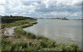 TQ4881 : River Thames - Marshy land adjoining Halfway Reach by Rob Farrow