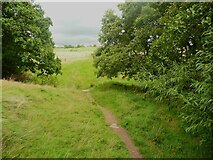 SE1525 : Footpath between trees, Wyke by Humphrey Bolton