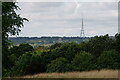 View Towards Crystal Palace