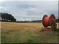 Barley field at Drumdreel