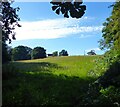 House Meadow