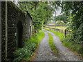 Access road for Fawnlees properties