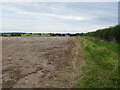 Bridleway to Caunton