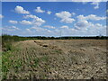 Stubble field near Melchbourne