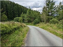 SN8588 : The road in Hafren Forest by David Medcalf