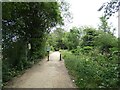 Footpath towards a riverside walk