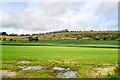 Kilmington : Grassy Field