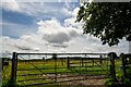 Horningsham : Grassy Field & Gate