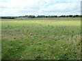 Field between Rookwood Lane and Stancomb Lane