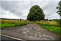 Warminster : Track