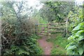 Footpath at its junction with bridleway