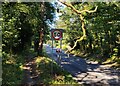 Habberley Road towards Kidderminster