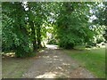 Footpath to the church, Souldrop