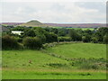 Near Thatchmire Farm