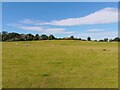 SU5469 : Bucklebury landscape by Oscar Taylor