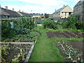 Allotment gardens, off Butts Garth, Thorner