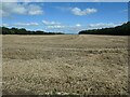 Stubble field, west of Saw Wood