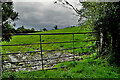 Gate and muddy entrance to field, Claraghmore