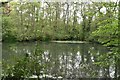 Fish Pond, Swanton Valley