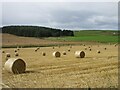 Bales near Lowhillside