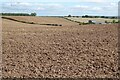 Farmland around Whiting-ash Farm