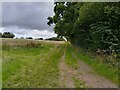 Footpath towards the M4