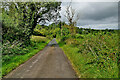 Barr Road, Glengeen