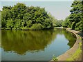 Lake and island in Wibsey Park