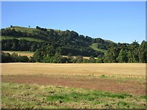 NO1116 : Barley field near Pitkeathly by Scott Cormie