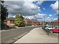 Beech Tree Avenue in Mansfield Woodhouse