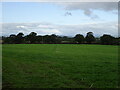 Path across arable field by Hopton Farm, Nesscliffe