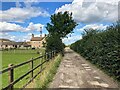 Track Passing Nettleworth Farm