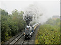 Sir Nigel Gresley at Panteg