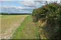TL2539 : Hedge by Newnham Way by Philip Jeffrey