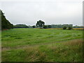 Grass field near Radwell Bridge