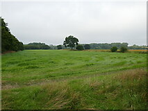 TL0056 : Grass field near Radwell Bridge by Jonathan Thacker